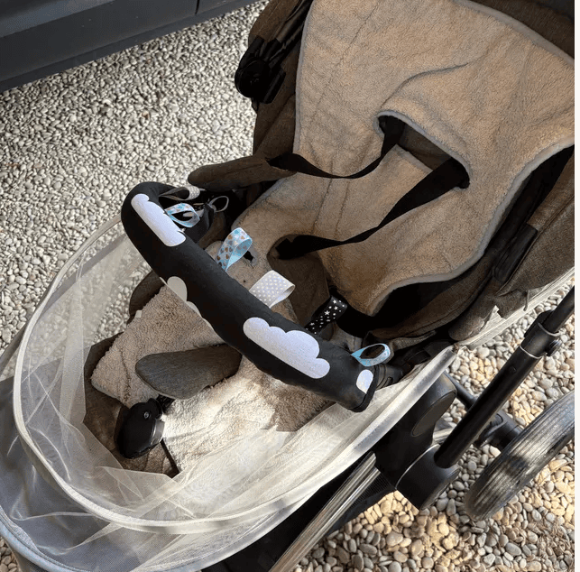 Cybex Priam profile picture